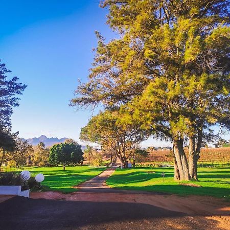 401 Rozendal Cottages Stellenbosch Bagian luar foto