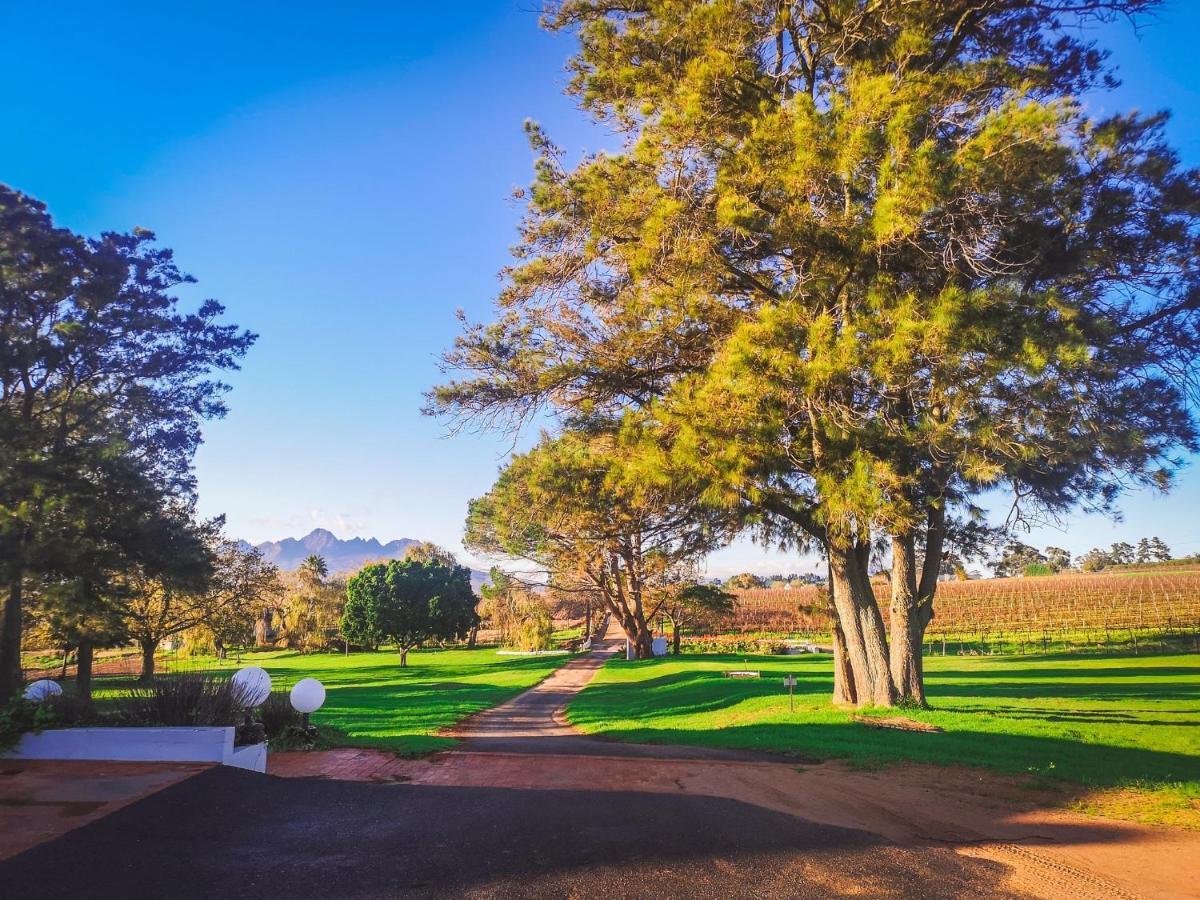 401 Rozendal Cottages Stellenbosch Bagian luar foto