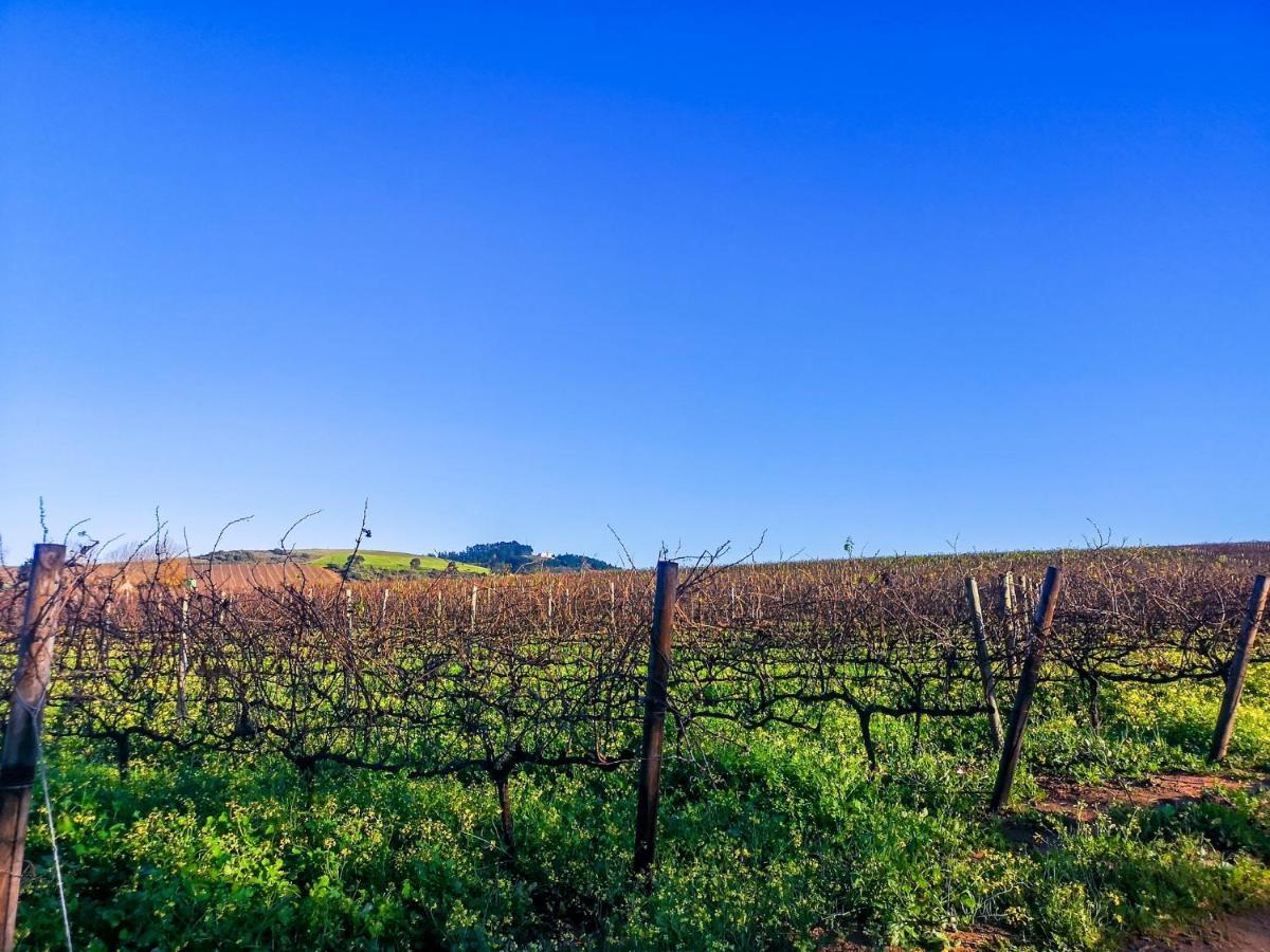 401 Rozendal Cottages Stellenbosch Bagian luar foto
