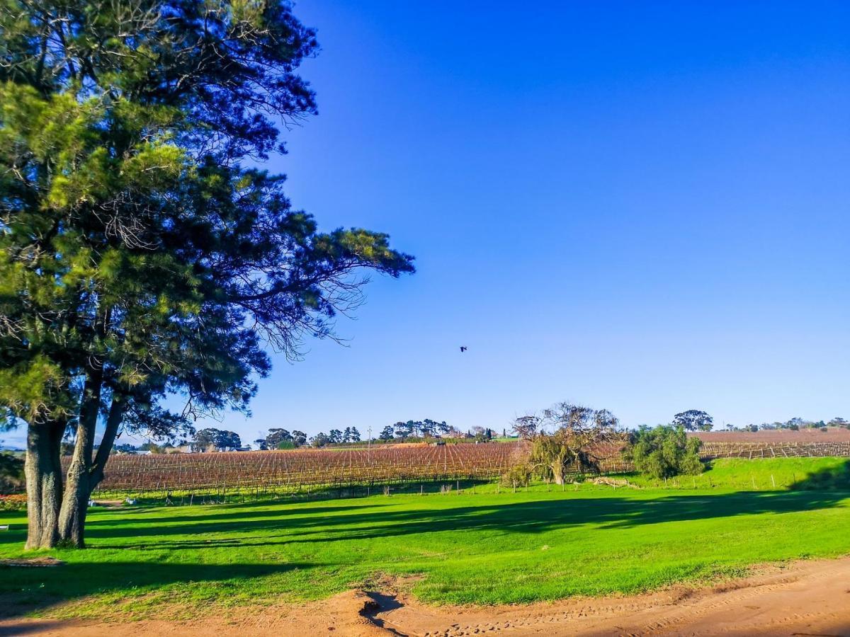 401 Rozendal Cottages Stellenbosch Bagian luar foto