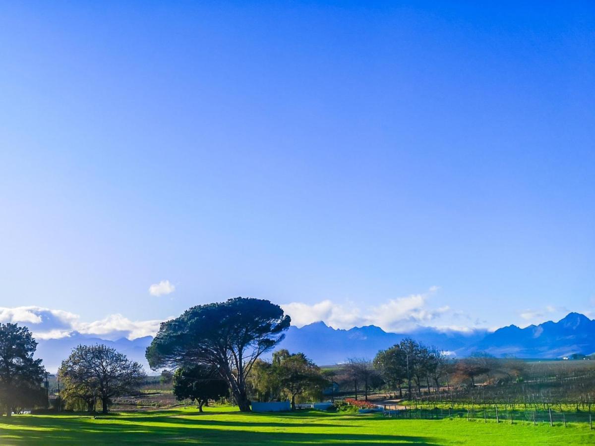 401 Rozendal Cottages Stellenbosch Bagian luar foto