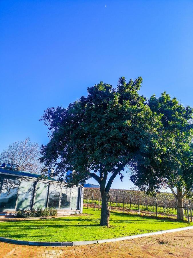 401 Rozendal Cottages Stellenbosch Bagian luar foto